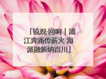 镜观·回响｜浦江奔涌传薪火 海派融新纳百川