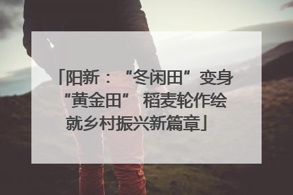 阳新：“冬闲田”变身“黄金田” 稻麦轮作绘就乡村振兴新篇章