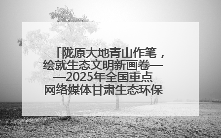 陇原大地青山作笔，绘就生态文明新画卷——2025年全国重点网络媒体甘肃生态环保行主题采访活动综述