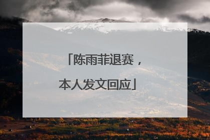 陈雨菲退赛，本人发文回应