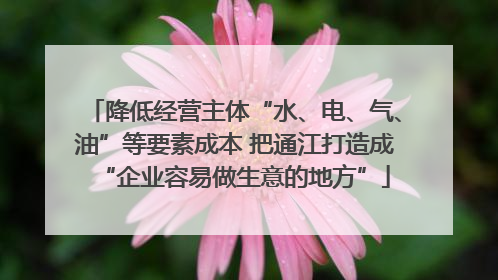 降低经营主体“水、电、气、油”等要素成本 把通江打造成“企业容易做生意的地方”