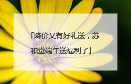 降价又有好礼送，苏和堂端午送福利了