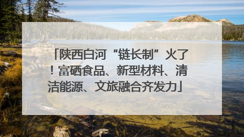 陕西白河“链长制”火了！富硒食品、新型材料、清洁能源、文旅融合齐发力