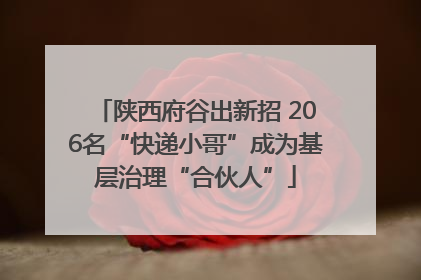 陕西府谷出新招 206名“快递小哥”成为基层治理“合伙人”