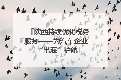 陕西持续优化税务服务——为汽车企业“出海”护航