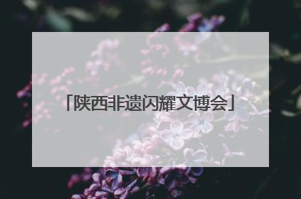 陕西非遗闪耀文博会