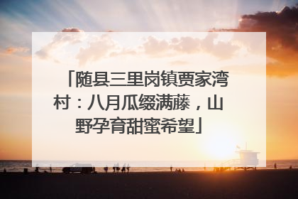 随县三里岗镇贾家湾村：八月瓜缀满藤，山野孕育甜蜜希望