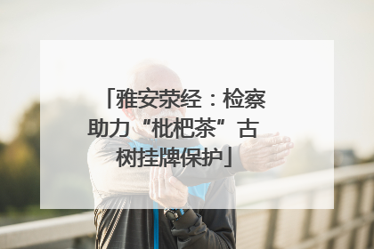 雅安荥经：检察助力“枇杷茶”古树挂牌保护