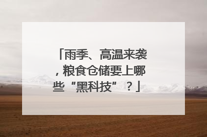 雨季、高温来袭，粮食仓储要上哪些“黑科技”？