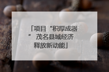项目“积厚成器” 茂名县域经济释放新动能