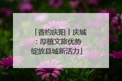 香约庆阳丨庆城：厚植文旅优势 绽放县域新活力