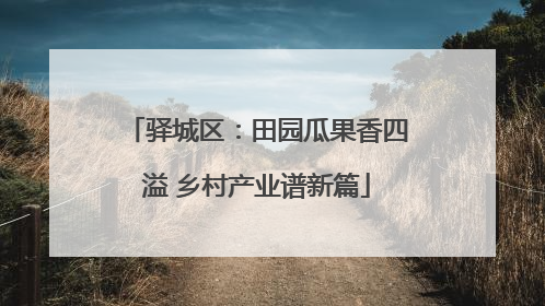 驿城区：田园瓜果香四溢 乡村产业谱新篇