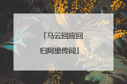 马云回应回归阿里传闻