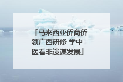 马来西亚侨商侨领广西研修 学中医看非遗谋发展
