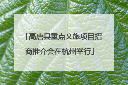 高唐县重点文旅项目招商推介会在杭州举行