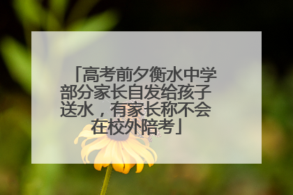 高考前夕衡水中学部分家长自发给孩子送水，有家长称不会在校外陪考
