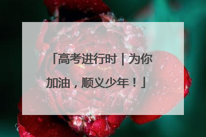 高考进行时｜为你加油，顺义少年！