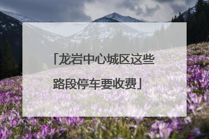 龙岩中心城区这些路段停车要收费