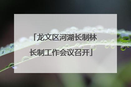 龙文区河湖长制林长制工作会议召开