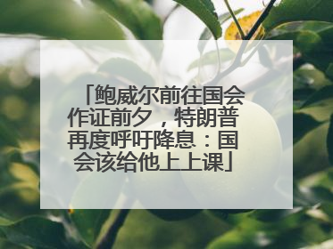鲍威尔前往国会作证前夕，特朗普再度呼吁降息：国会该给他上上课