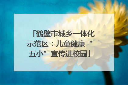 鹤壁市城乡一体化示范区：儿童健康“五小”宣传进校园