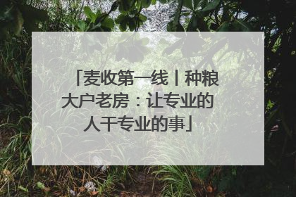 麦收第一线丨种粮大户老房：让专业的人干专业的事