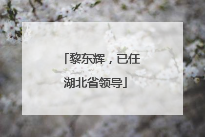 黎东辉，已任湖北省领导