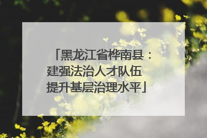 黑龙江省桦南县：建强法治人才队伍 提升基层治理水平
