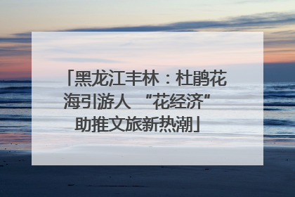 黑龙江丰林：杜鹃花海引游人 “花经济”助推文旅新热潮