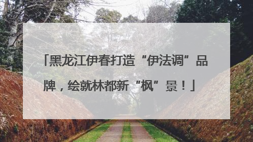 黑龙江伊春打造“伊法调”品牌，绘就林都新“枫”景！