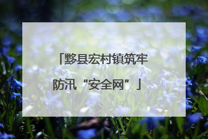 黟县宏村镇筑牢防汛“安全网”