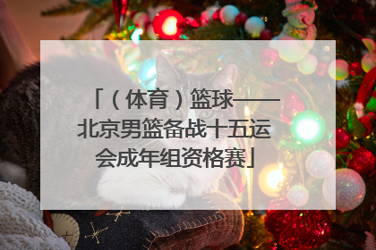 （体育）篮球——北京男篮备战十五运会成年组资格赛