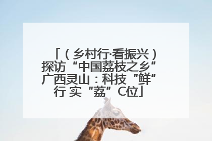 （乡村行·看振兴）探访“中国荔枝之乡”广西灵山：科技“鲜”行 实“荔”C位