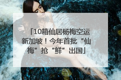 10箱仙居杨梅空运新加坡！今年首批“仙梅”抢“鲜”出国