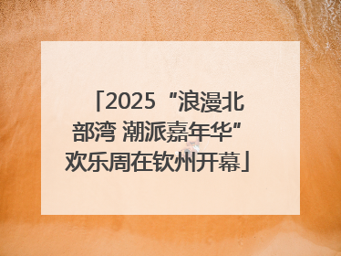 2025“浪漫北部湾 潮派嘉年华”欢乐周在钦州开幕