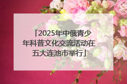 2025年中俄青少年科普文化交流活动在五大连池市举行