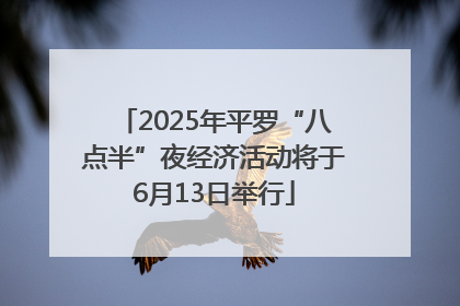 2025年平罗“八点半”夜经济活动将于6月13日举行