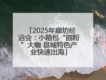 2025年廊坊经洽会：小箱包“圈粉”大咖 县域特色产业快速出海