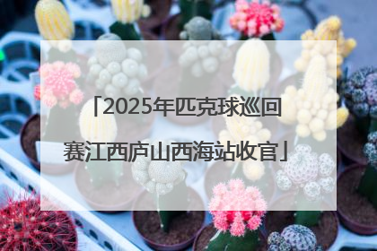2025年匹克球巡回赛江西庐山西海站收官