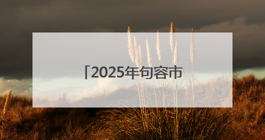 2025年句容市公安局“向日葵”少年警校主题活动