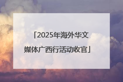 2025年海外华文媒体广西行活动收官