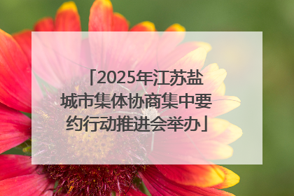 2025年江苏盐城市集体协商集中要约行动推进会举办