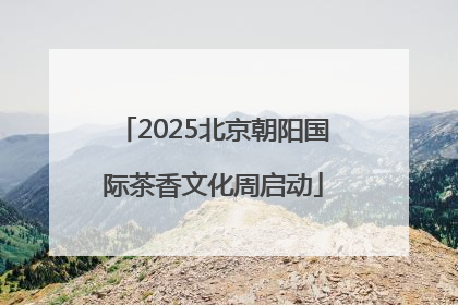 2025北京朝阳国际茶香文化周启动