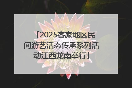 2025客家地区民间游艺活态传承系列活动江西龙南举行