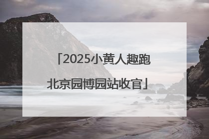 2025小黄人趣跑北京园博园站收官