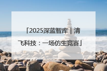 2025深蓝智库｜清飞科技：一场仿生竞赛