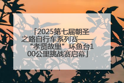 2025第七届朝圣之路自行车系列赛——“孝贤故里”环鱼台100公里挑战赛启幕