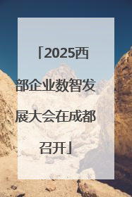 2025西部企业数智发展大会在成都召开