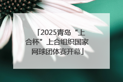 2025青岛“上合杯”上合组织国家网球团体赛开幕