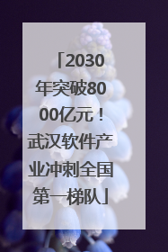 2030年突破8000亿元！武汉软件产业冲刺全国第一梯队